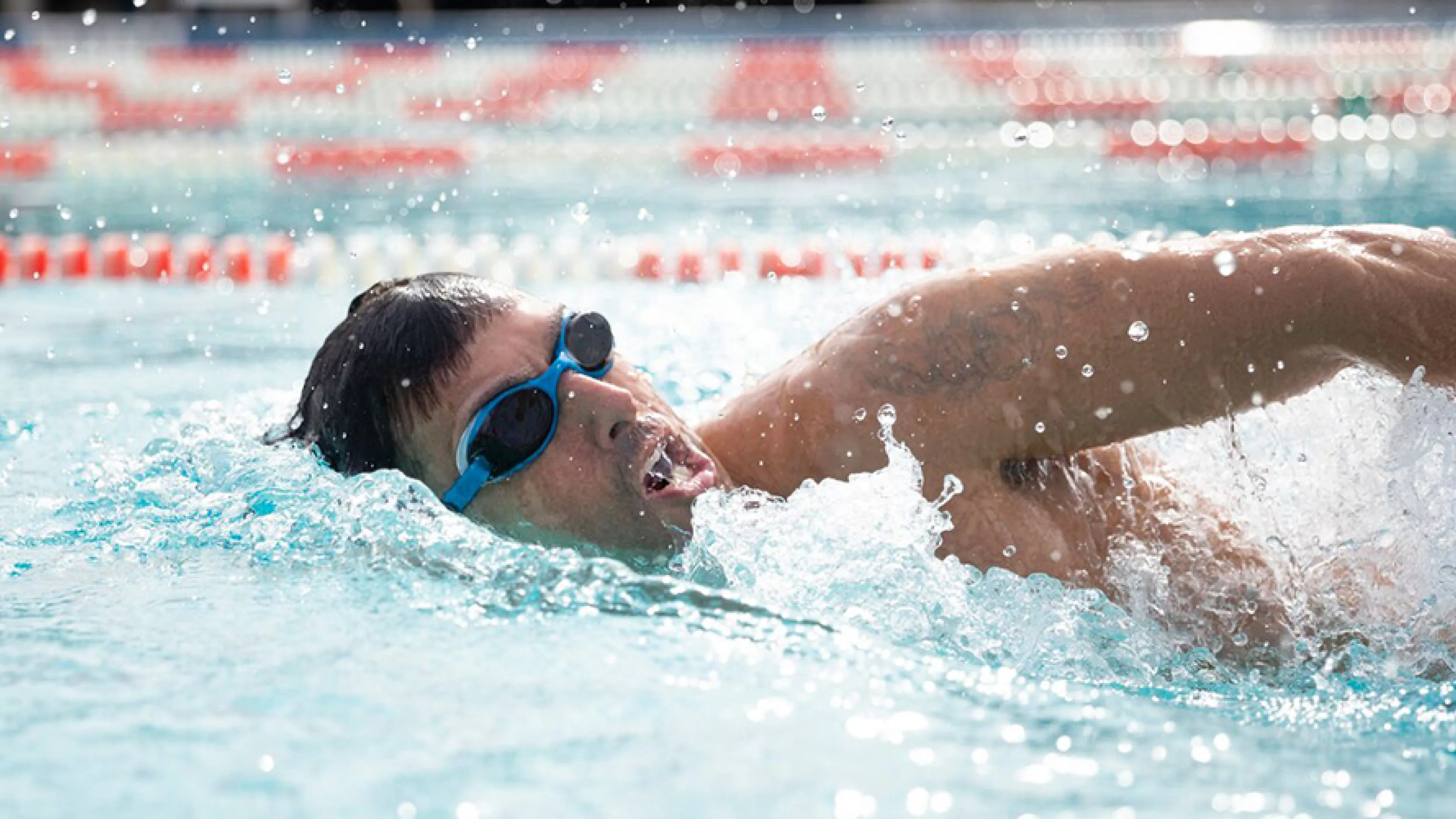 master swimmer showing proper stroke technique