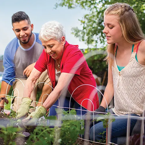 Volunteering garden