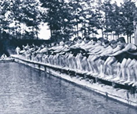 YMCA of the Suncoast