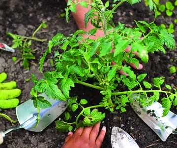 &quot;DIY at the Y&quot; Do It Yourself